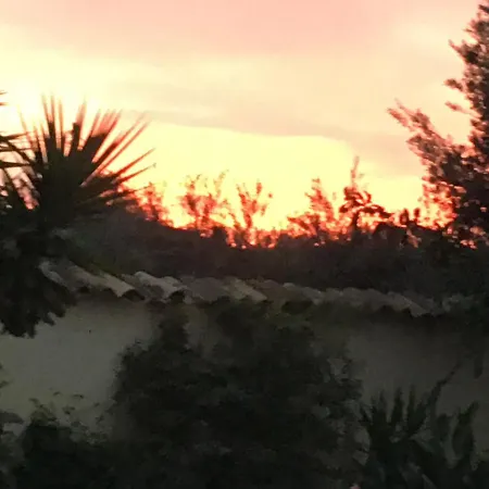 Cortijo Esquina *